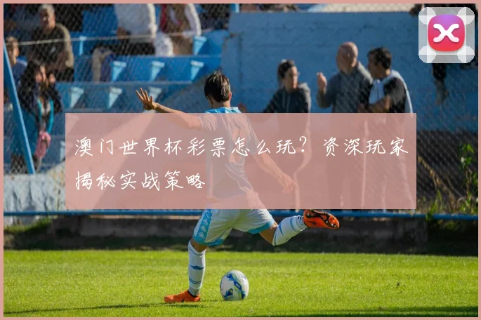 澳门世界杯彩票怎么玩？资深玩家揭秘实战策略