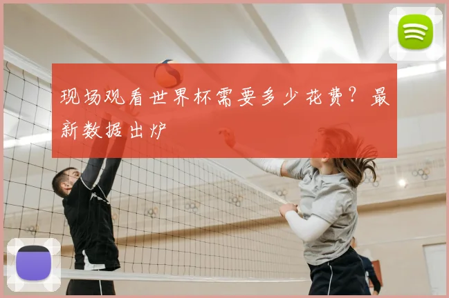 现场观看世界杯需要多少花费？最新数据出炉