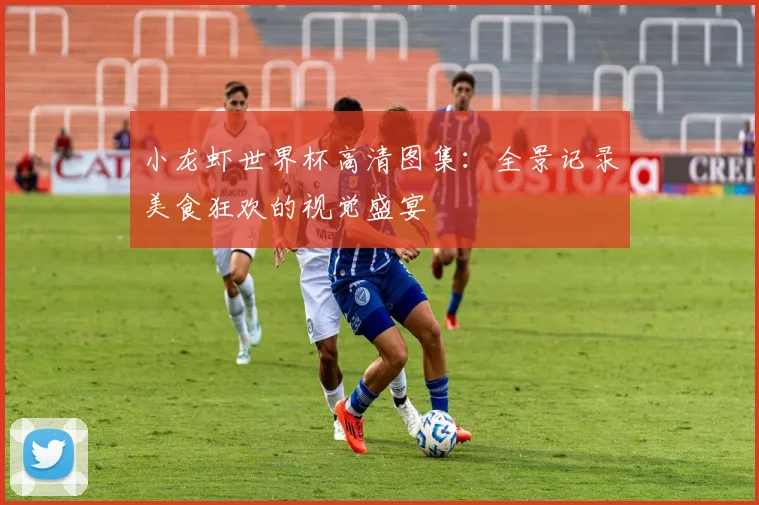 小龙虾世界杯高清图集：全景记录美食狂欢的视觉盛宴