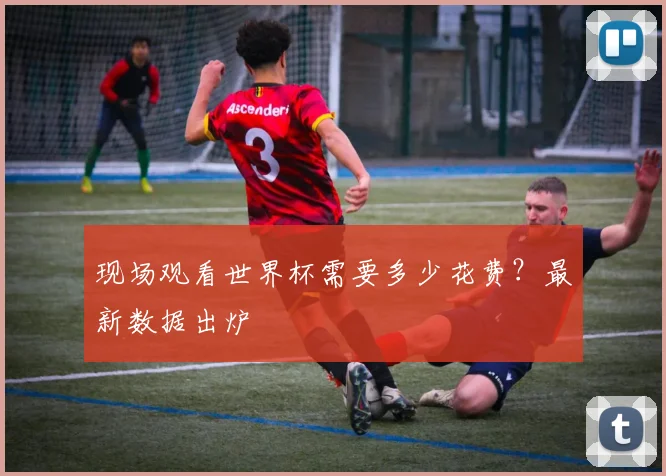 现场观看世界杯需要多少花费？最新数据出炉