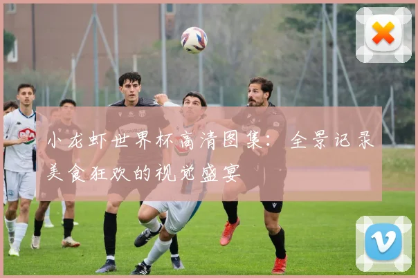 小龙虾世界杯高清图集：全景记录美食狂欢的视觉盛宴