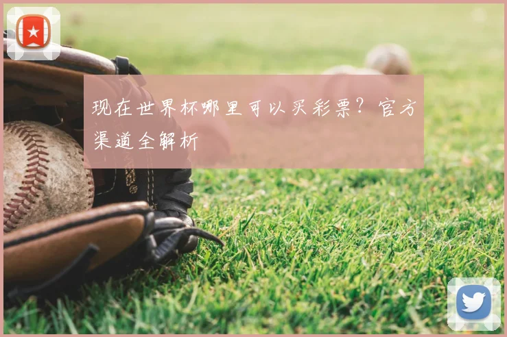 现在世界杯哪里可以买彩票？官方渠道全解析