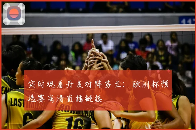 实时观看丹麦对阵芬兰：欧洲杯预选赛高清直播链接