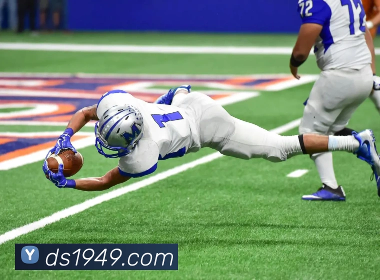 开云网页版在线登录app发展历程